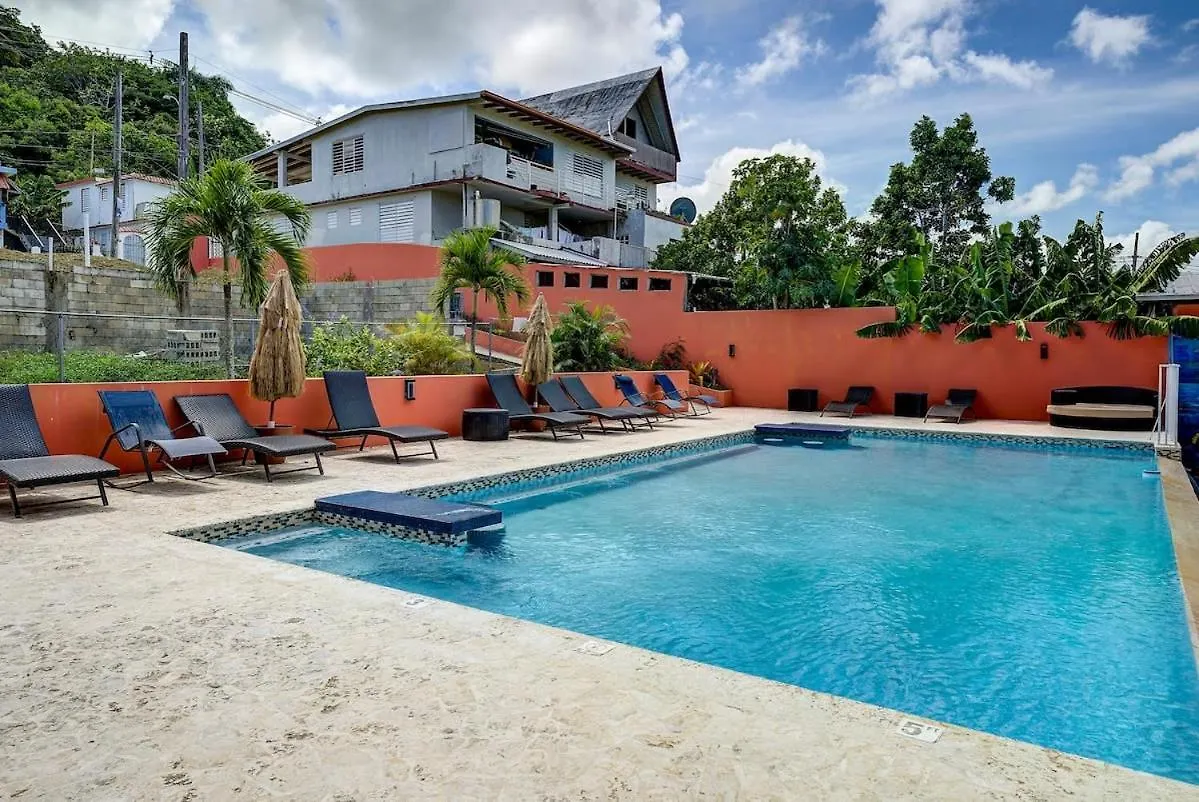 Villa Jardin - Infinity Pool And Backyard Oasis Luquillo Holiday home