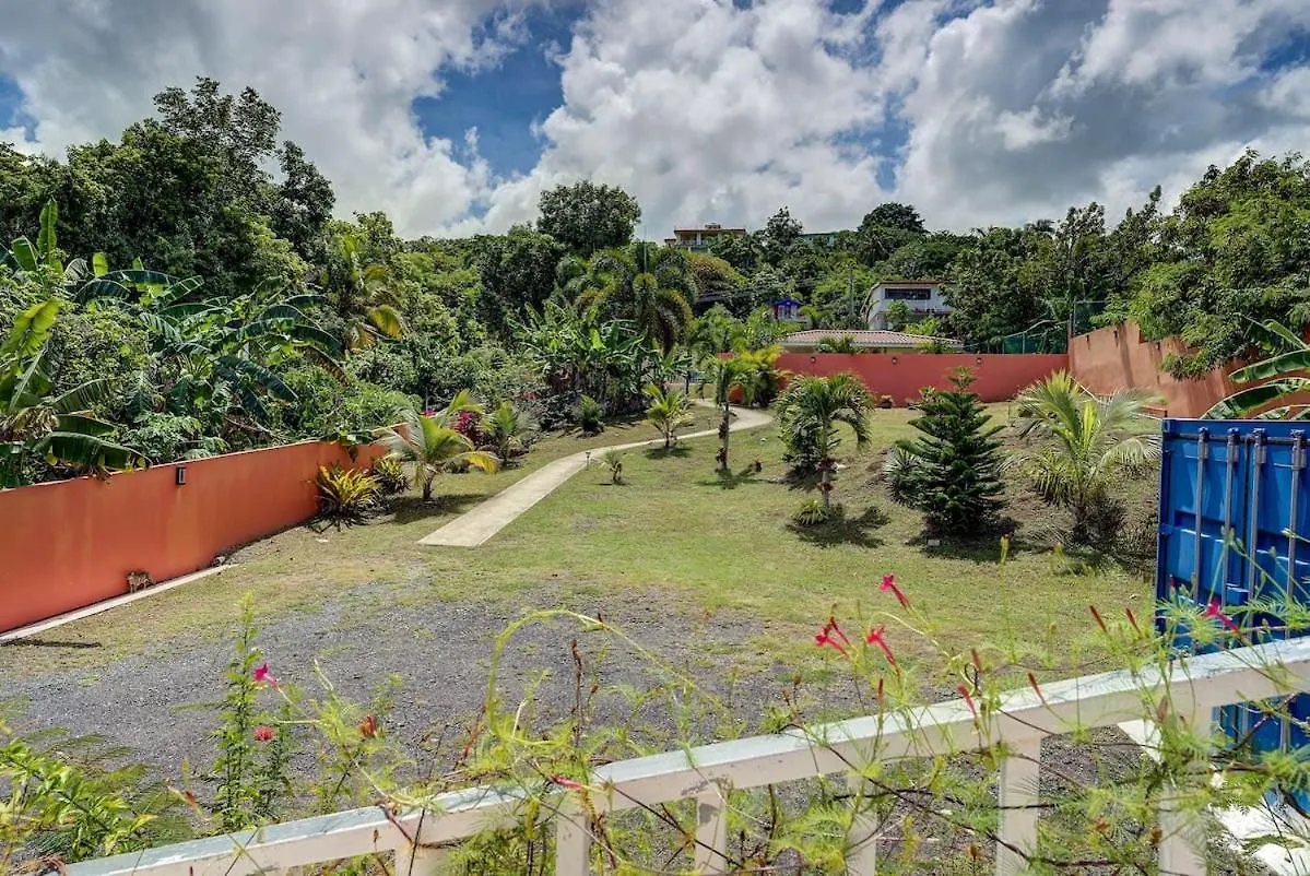 Villa Jardin - Infinity Pool And Backyard Oasis Luquillo
